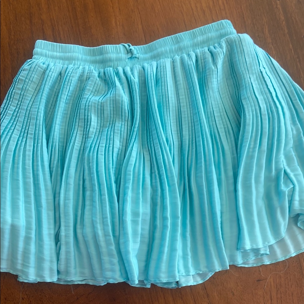 Pleated Blue Skirt